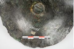 Foto von Bronzephalere (NHMW-PRAE-026056)
